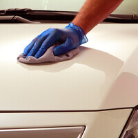 Porilapid, eesmised ja tagumised