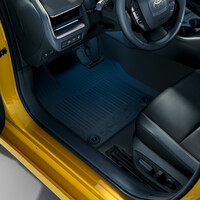 Porilapid, eesmised ja tagumised