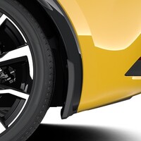 Porilapid, eesmised ja tagumised