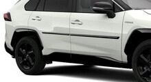 Pikaajaline värvkatte kaitse Toyota Protect