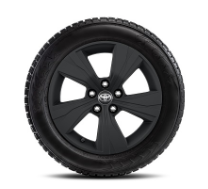 Pikaajaline värvkatte kaitse Toyota Protect