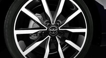 Pikaajaline värvkatte kaitse Toyota Protect
