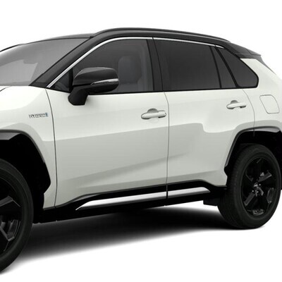 Pikaajaline värvkatte kaitse Toyota Protect