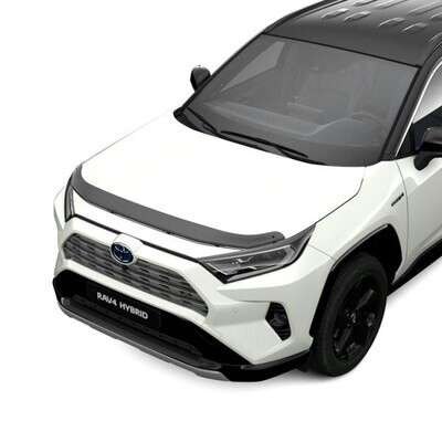 Pikaajaline värvkatte kaitse Toyota Protect