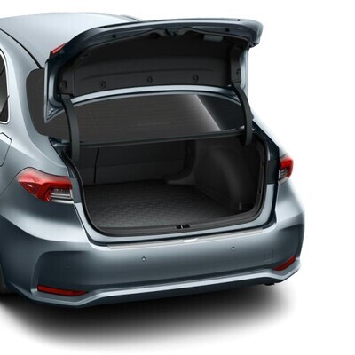 Pikaajaline värvkatte kaitse Toyota Protect