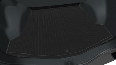 Pikaajaline värvkatte kaitse Toyota Protect