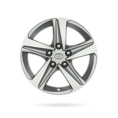 Pikaajaline värvkatte kaitse Toyota Protect