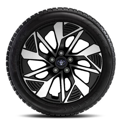 Pikaajaline värvkatte kaitse Toyota Protect