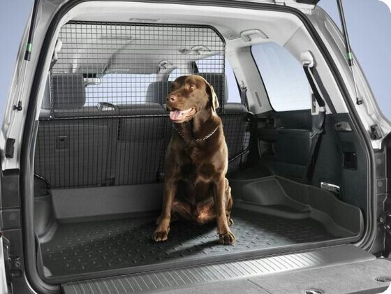 Kaubavõrk täis kõrgus