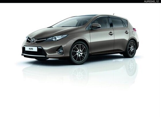 Tuulesuunajad 4 ust, heledad, HB