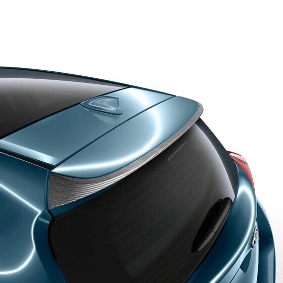 Katusespoiler, süsinikkiud disainiga, HB