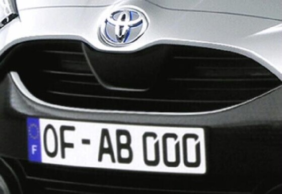 Kroomliist iluvõrele