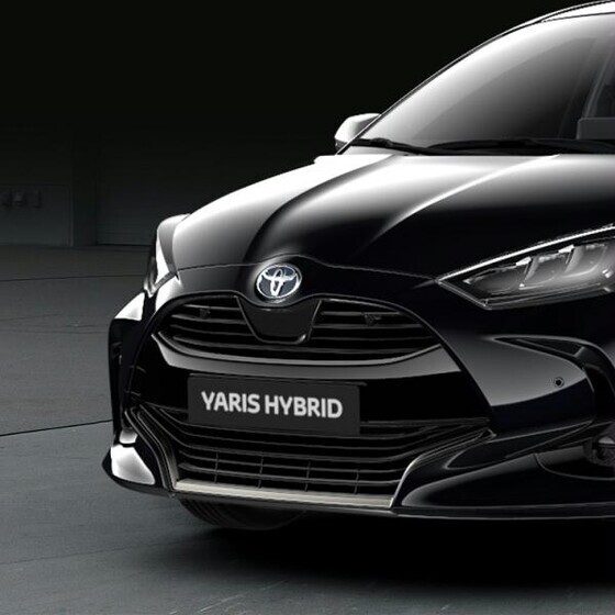 Iluliist iluvõrele, must 202