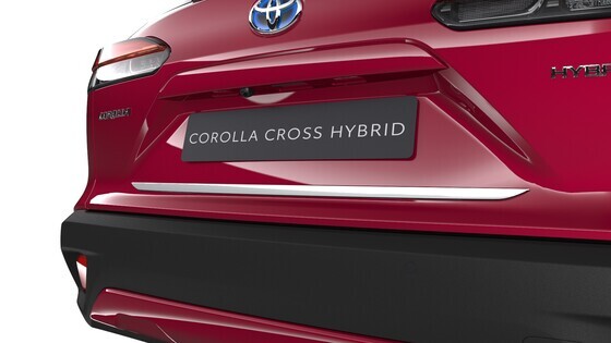 Tagaluugi alumine liist