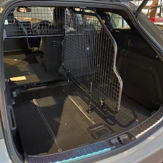 Koeravõrk, piki-vahesein, TS