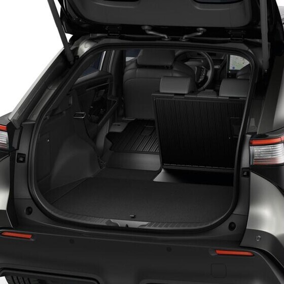 Tagaistmete tagakülje kaitse