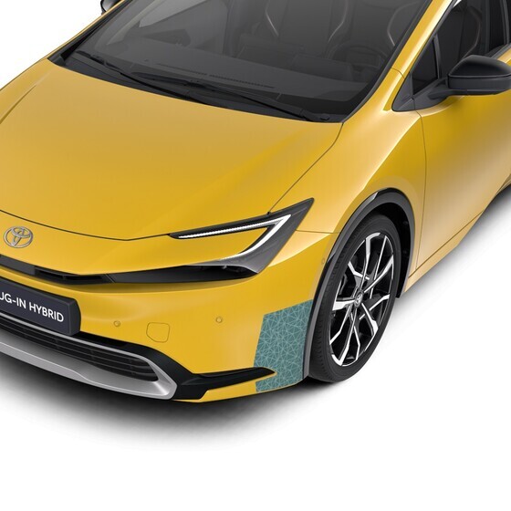 Esistange kaitsekile