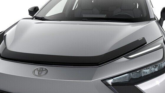 Tuulesuunaja kapotile