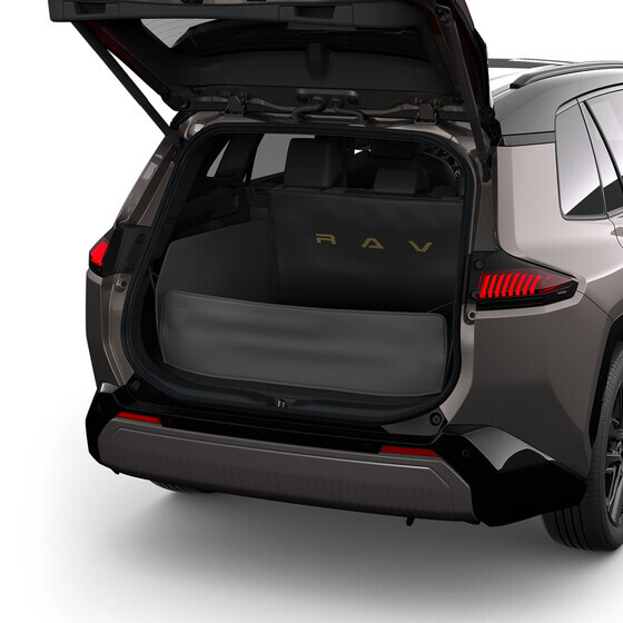 Koera/lasti kaitsematt pagasiruumi