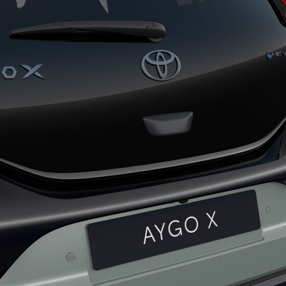 Tagaluugi serva iluliist, punane