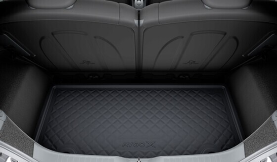 Tagaistme seljatoe kaitse