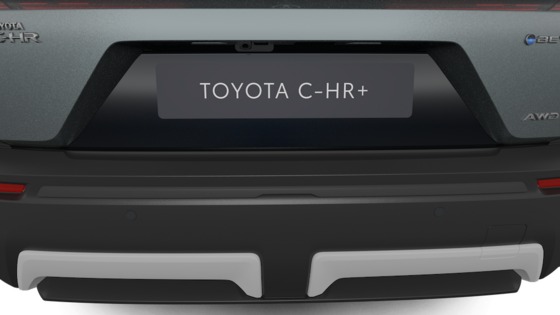 Tagastange liist, hall