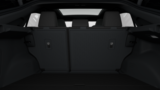 Tagaistme seljatoe kaitse