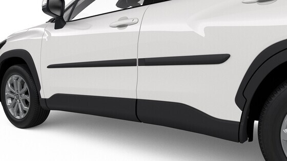 Ukse kaitseliistud, must